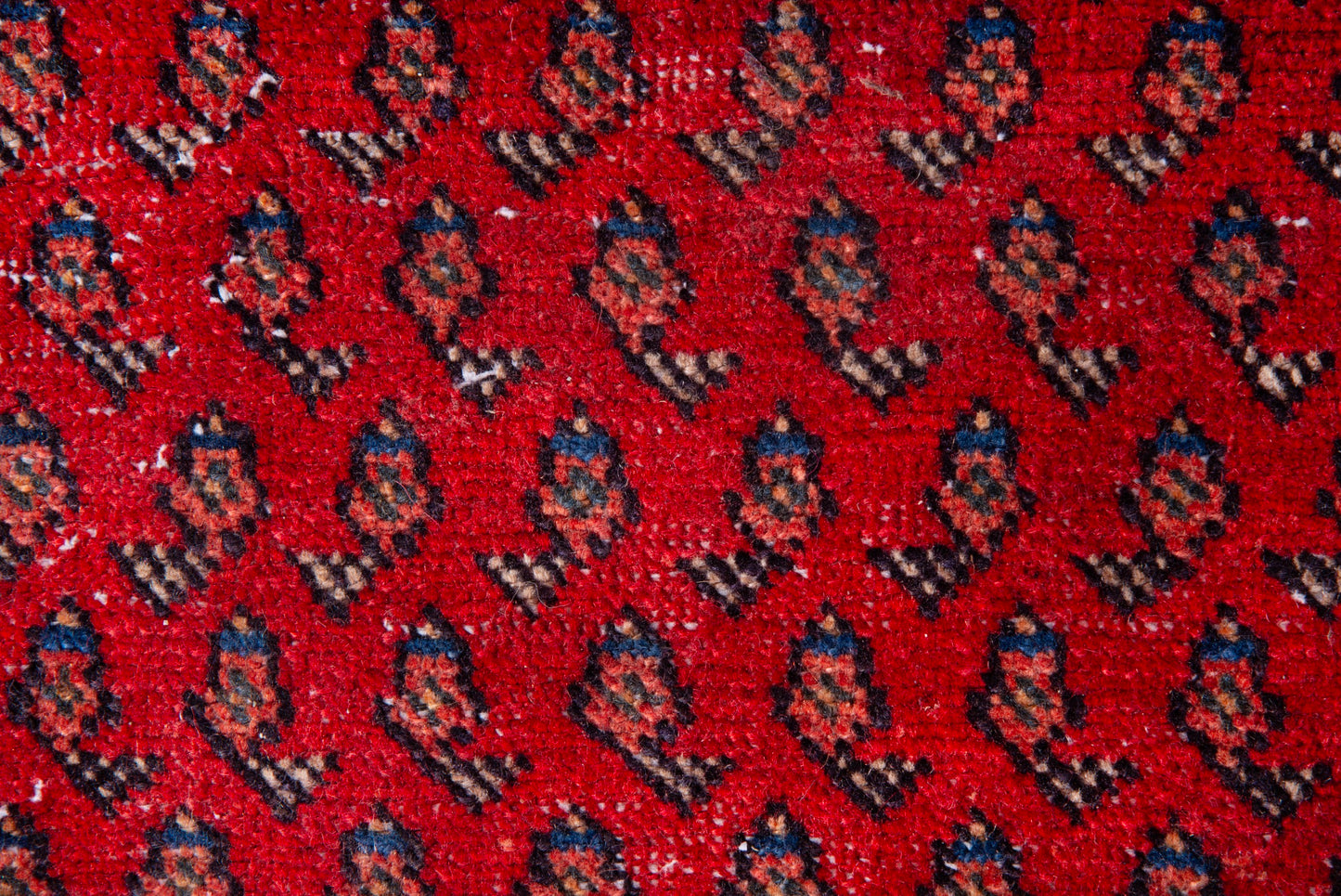 4101 - 3'3" x 4'9"