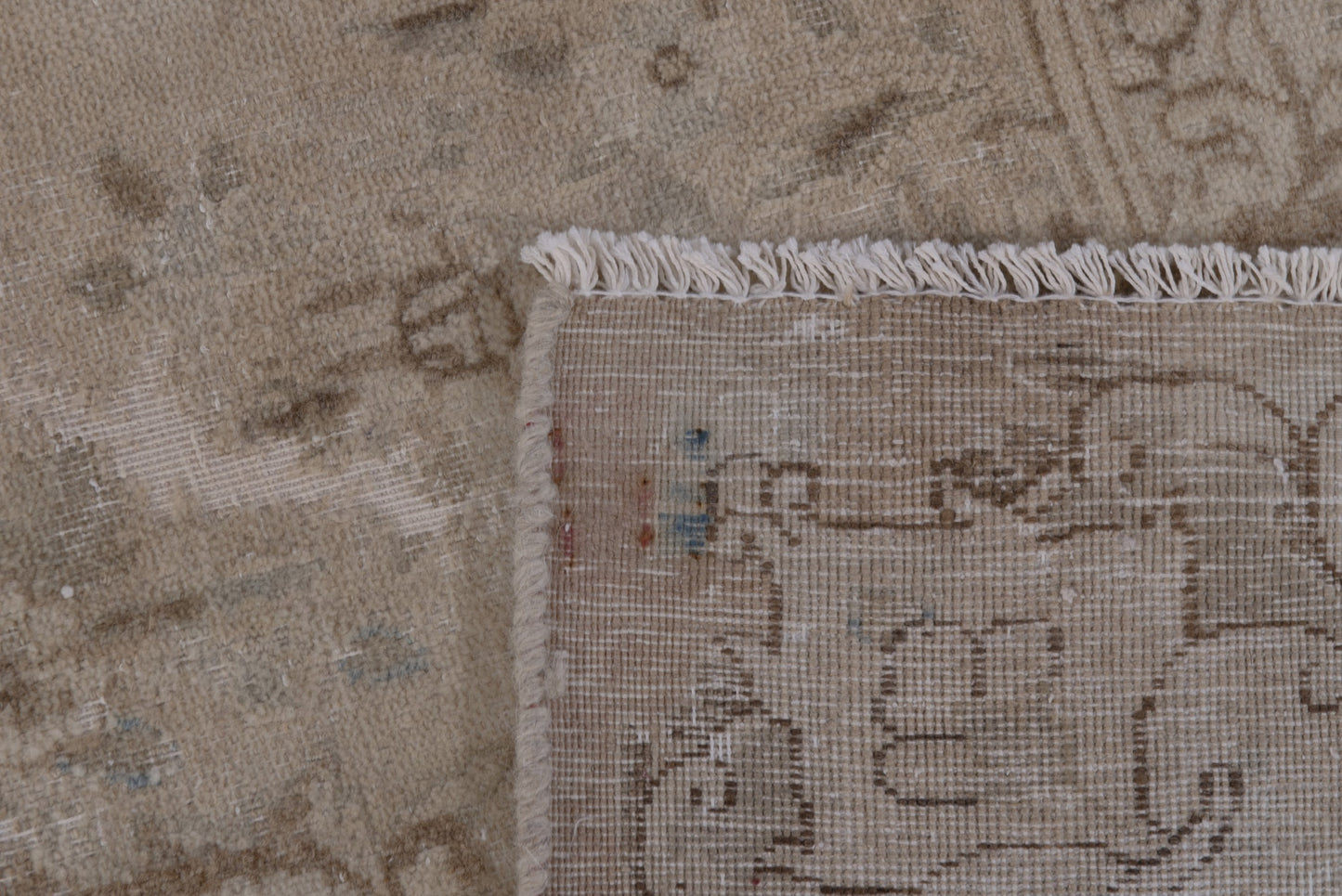 5553 - 9'8" x 13'11"