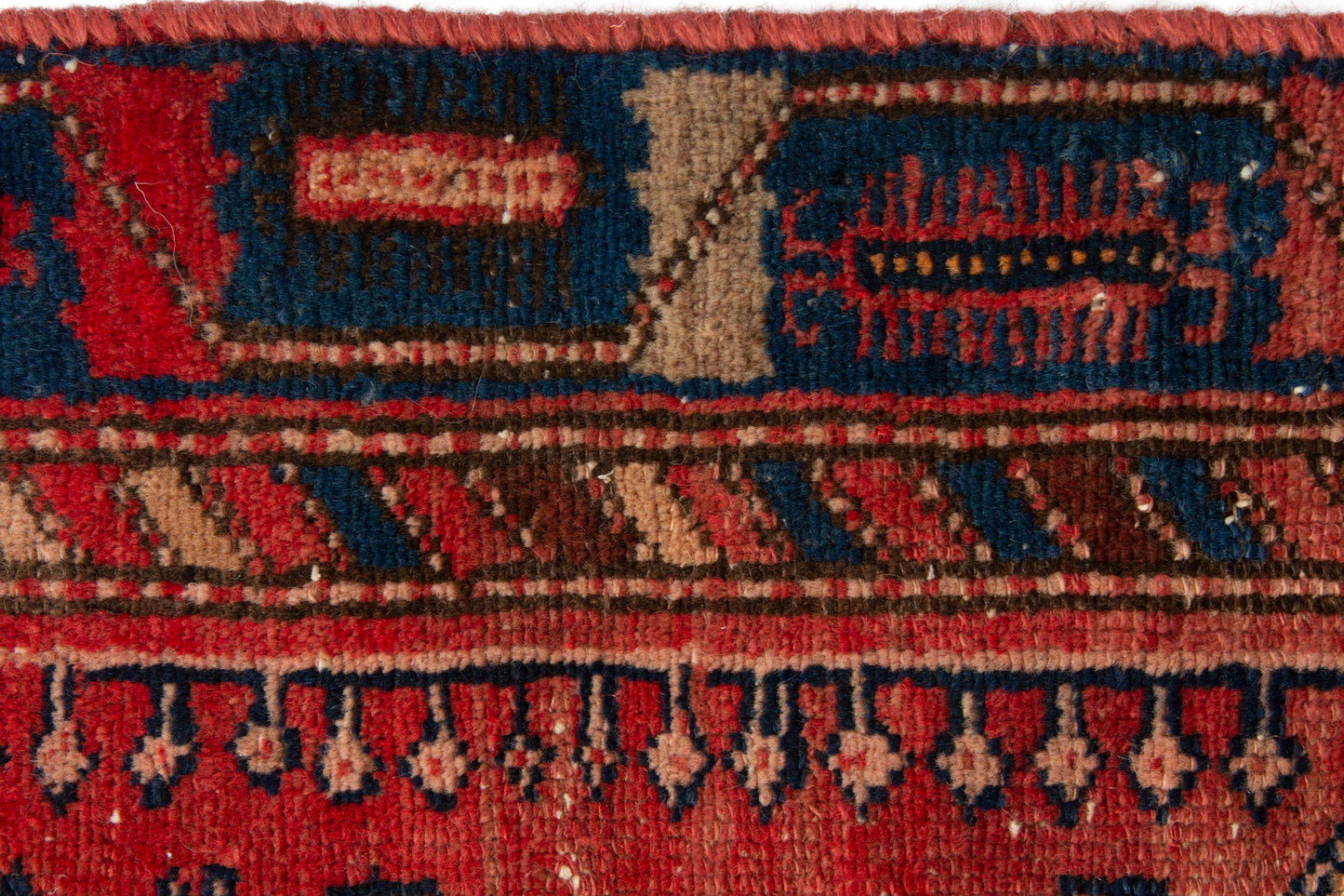 CAN_3919 - 3'1" x 6'1"