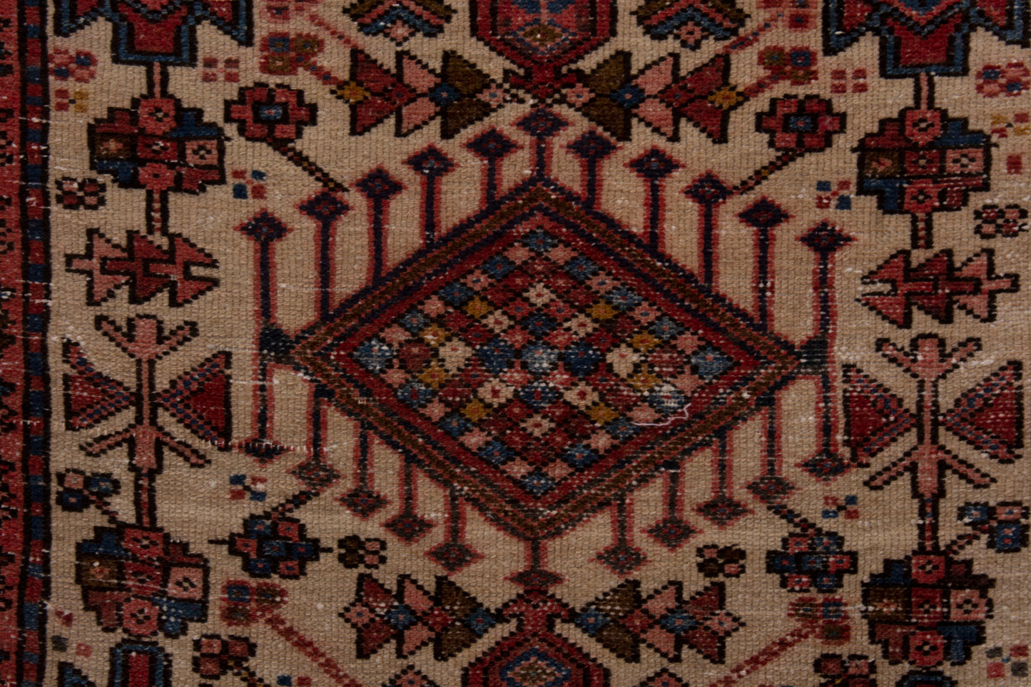 CAN_3936 - 3'1" x 5'9"
