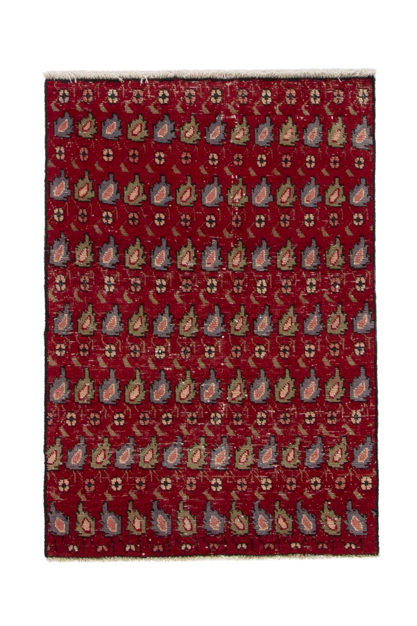 CAN_3937 - 2'8" x 3'11"