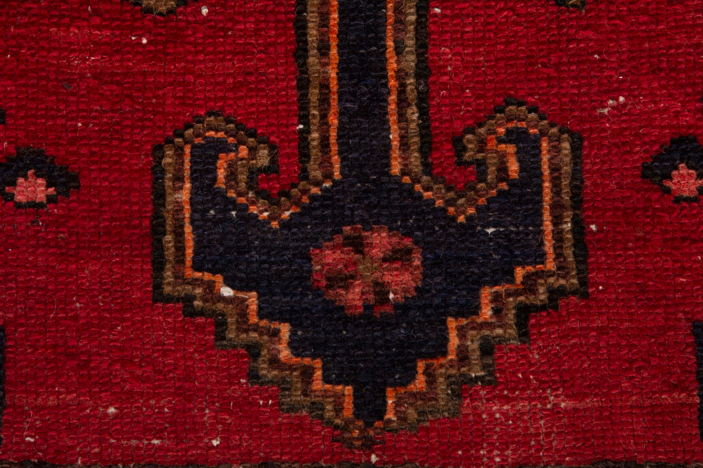 CAN_3963 - 3' x 6'