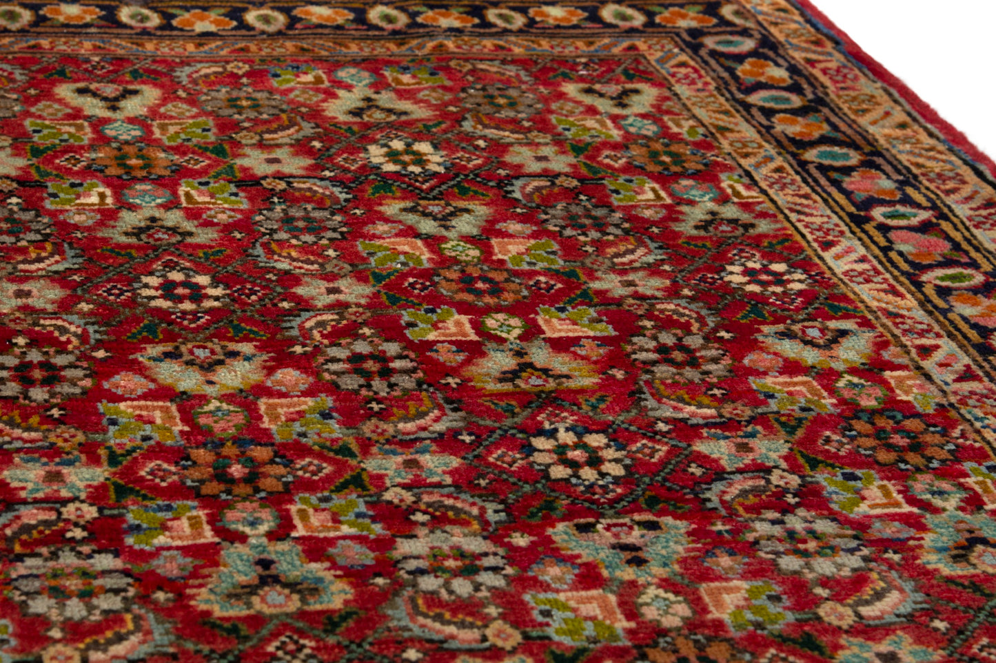 CAN_3964 - 3'6" x 5'2"