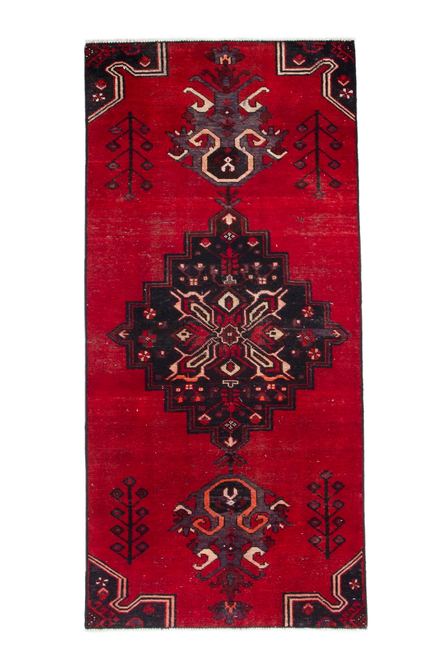 CAN_3986 - 2'10" x 6'11"