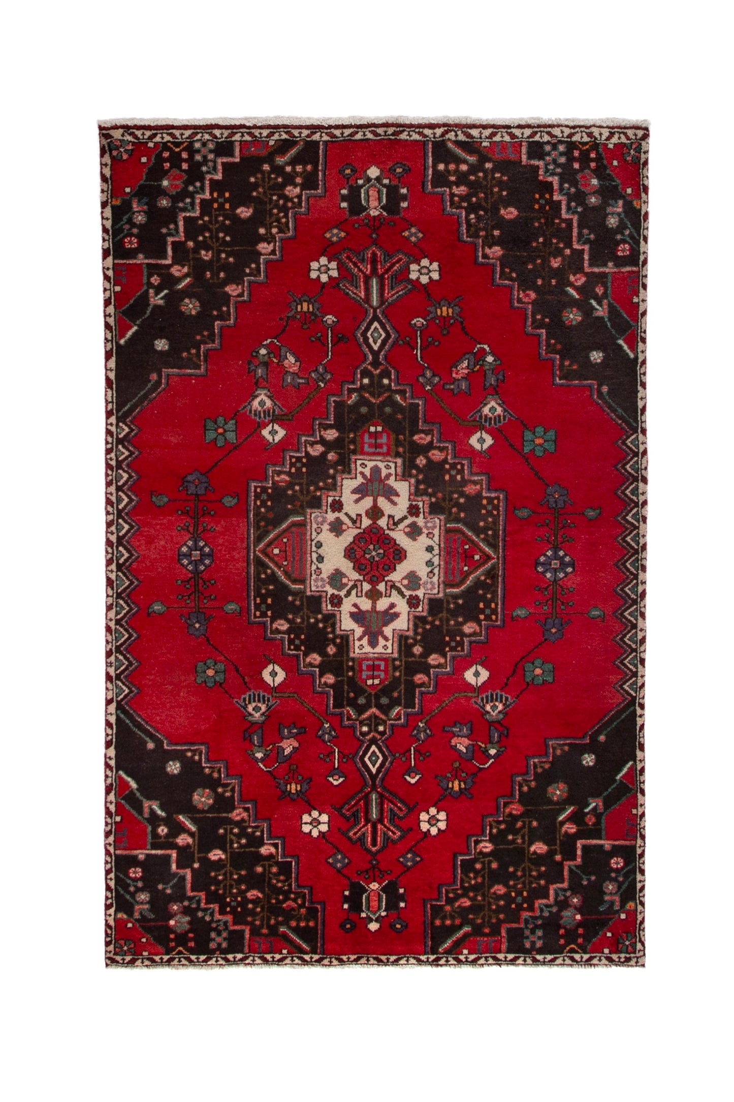CAN_3994 - 4'3" x 6'7"