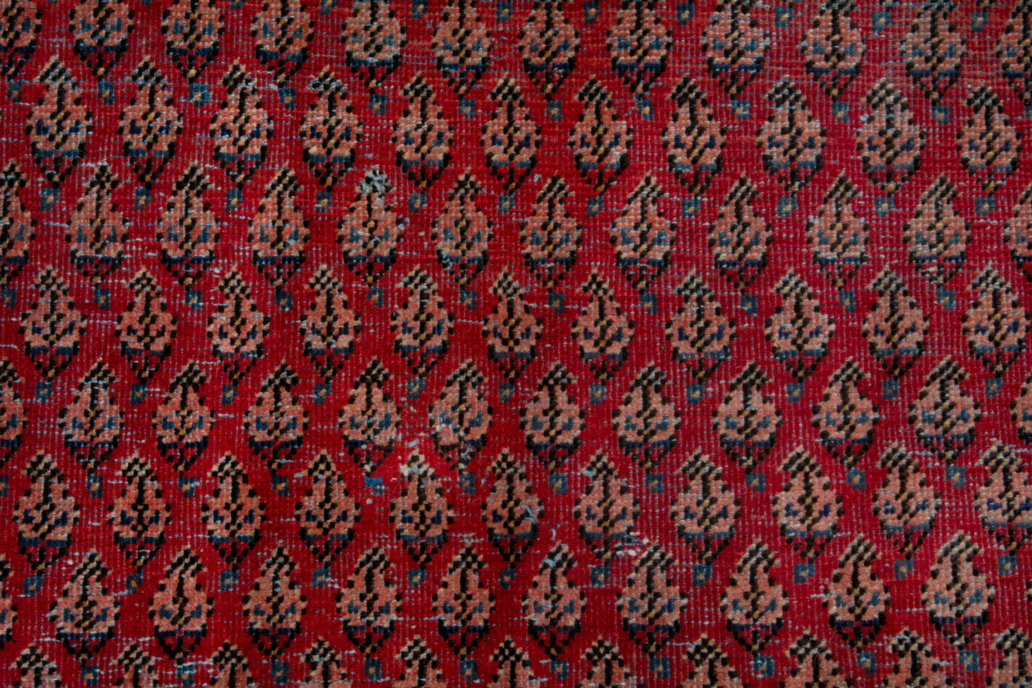 CAN_3999 - 3'11" x 6'8"