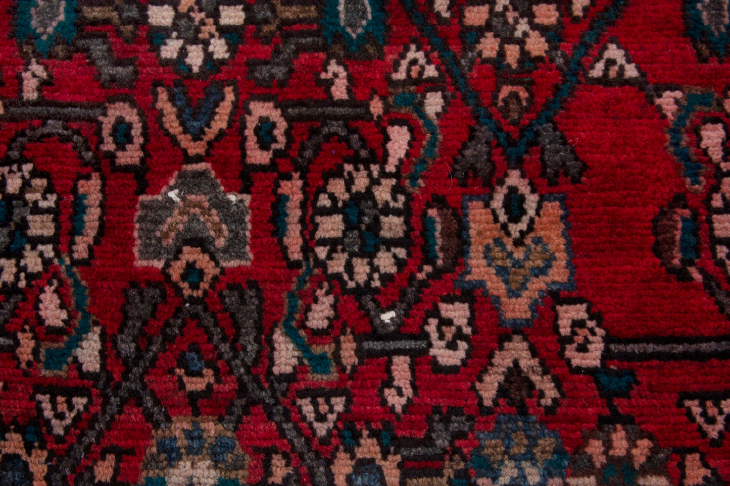 CAN_4016 - 2'10" x 5'1"