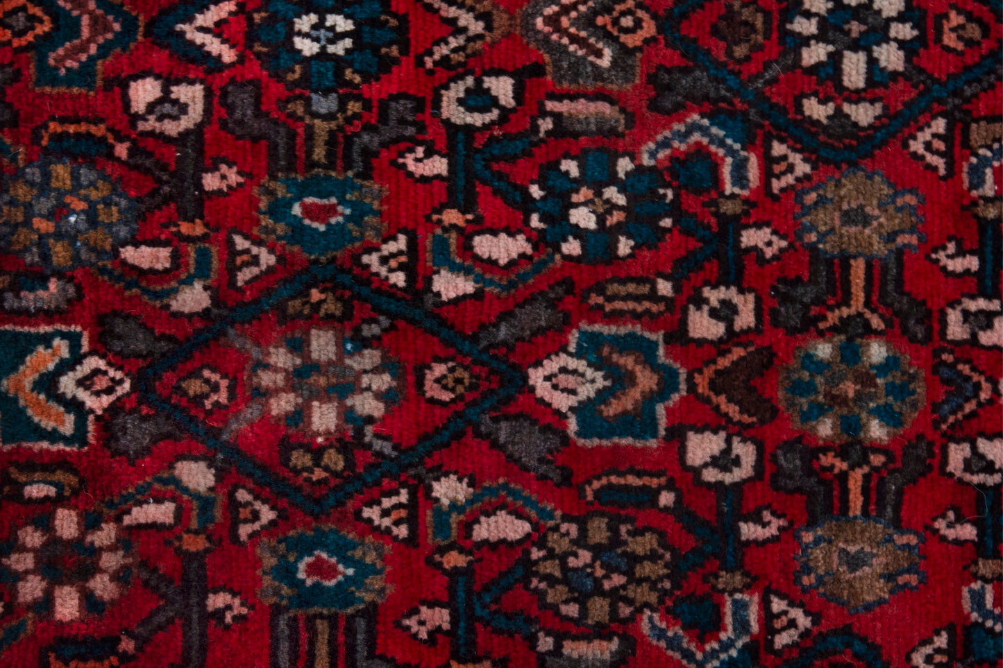 CAN_4016 - 2'10" x 5'1"
