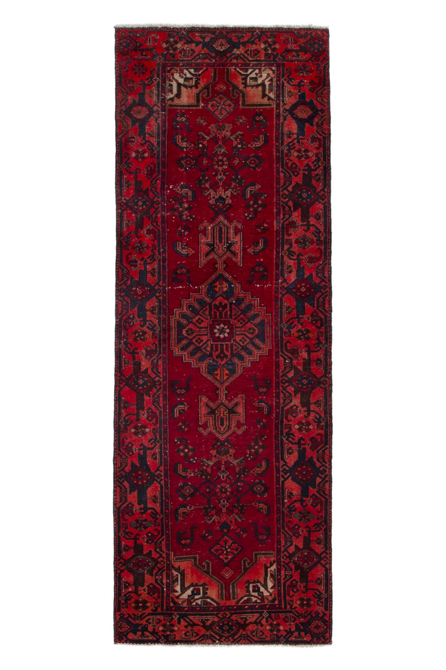 CAN_4029 - 3'6" x 10'