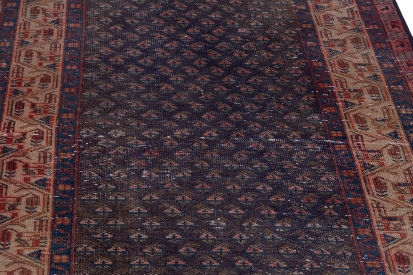 CAN_4040 - 3'3" x 10'