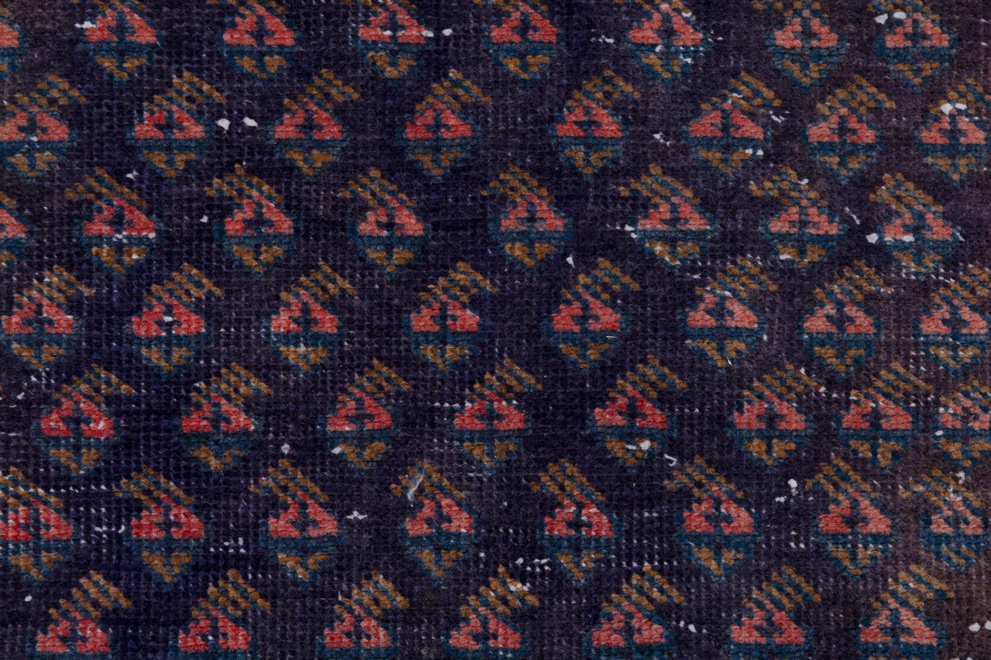 CAN_4040 - 3'3" x 10'