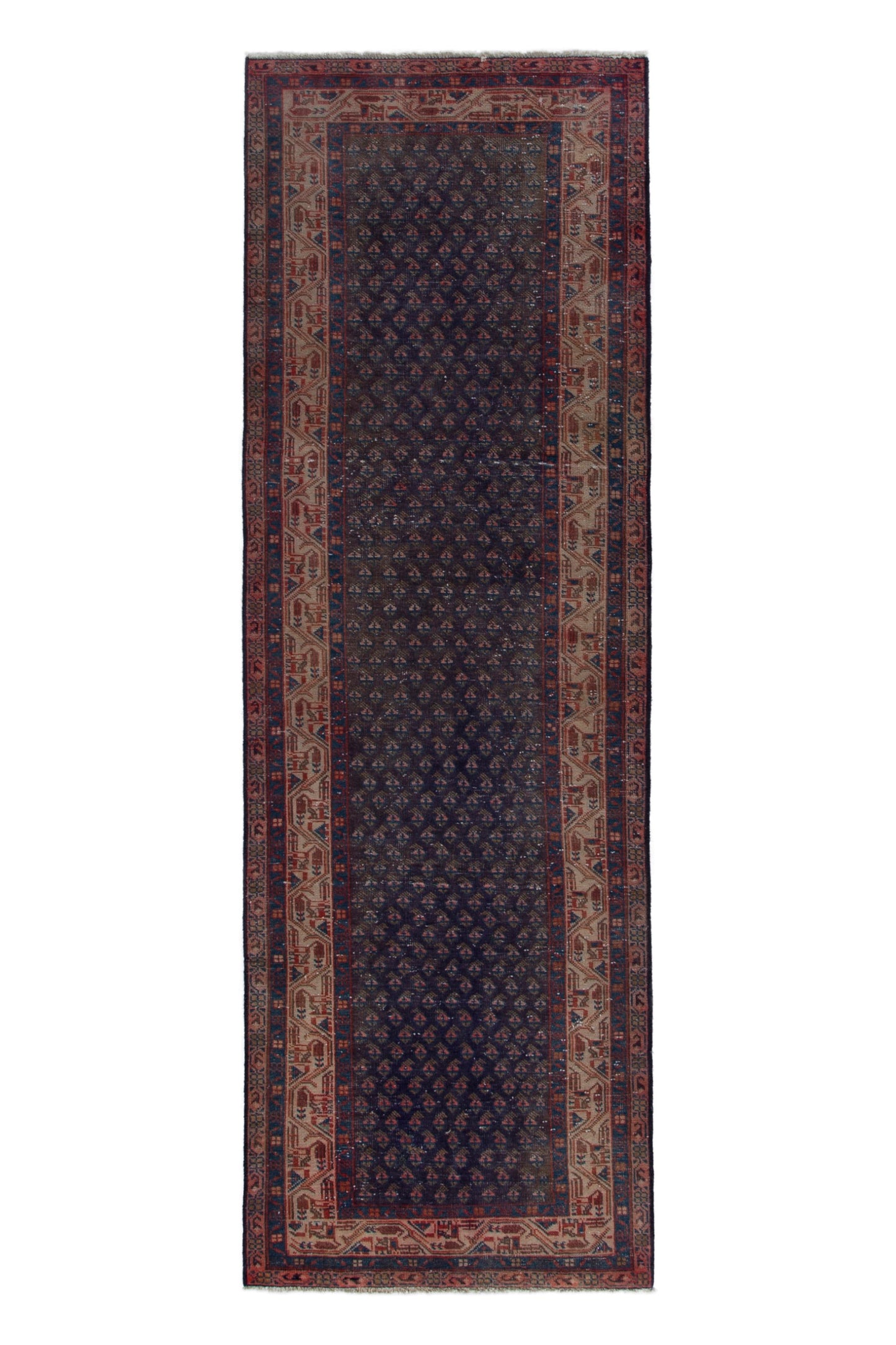 CAN_4040 - 3'3" x 10'