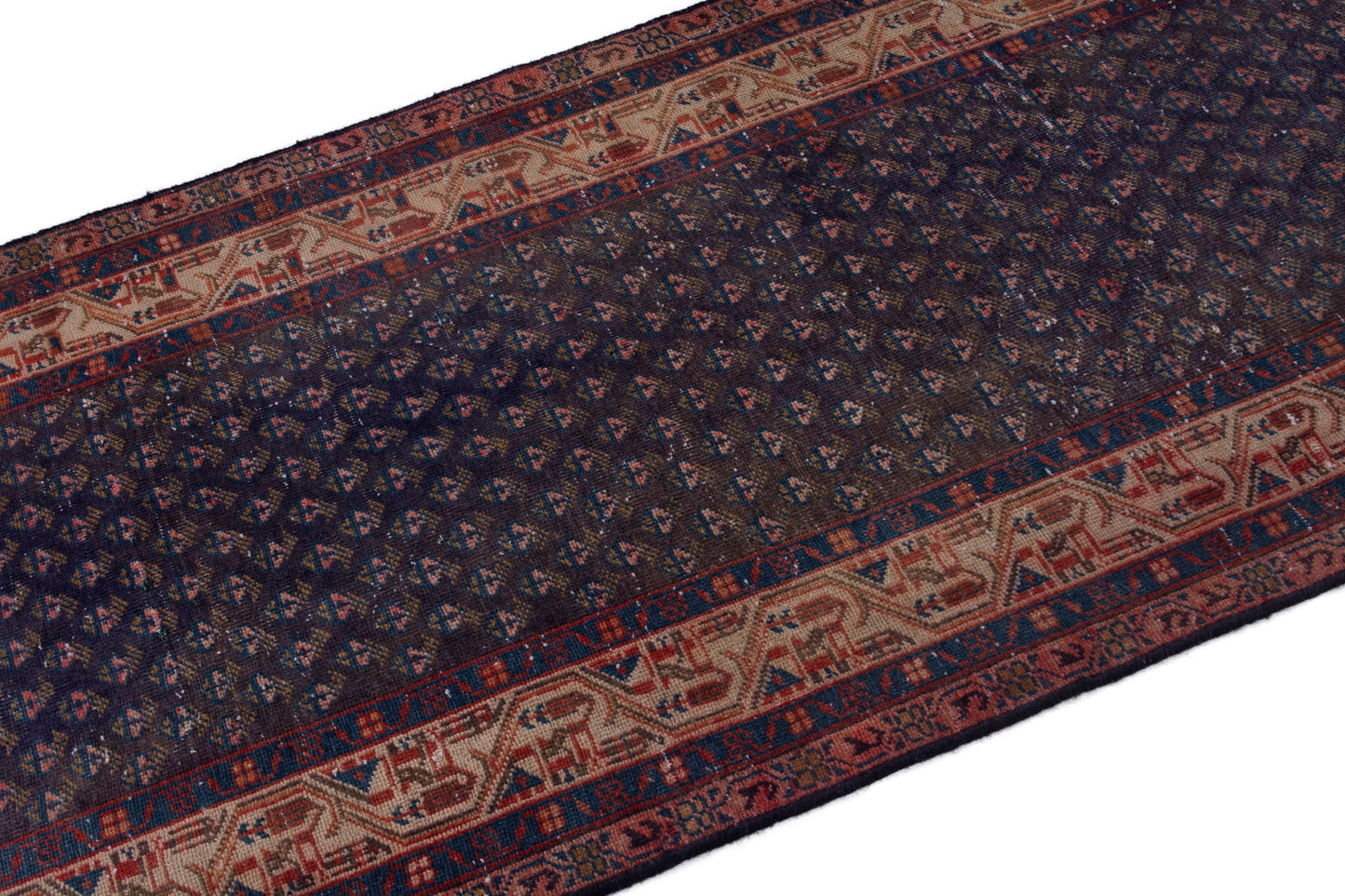 CAN_4040 - 3'3" x 10'