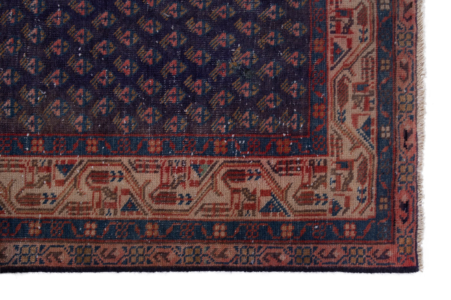 CAN_4040 - 3'3" x 10'