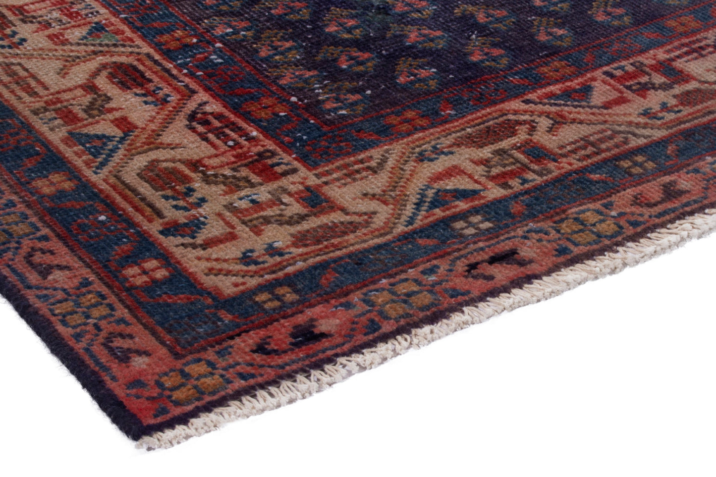 CAN_4040 - 3'3" x 10'