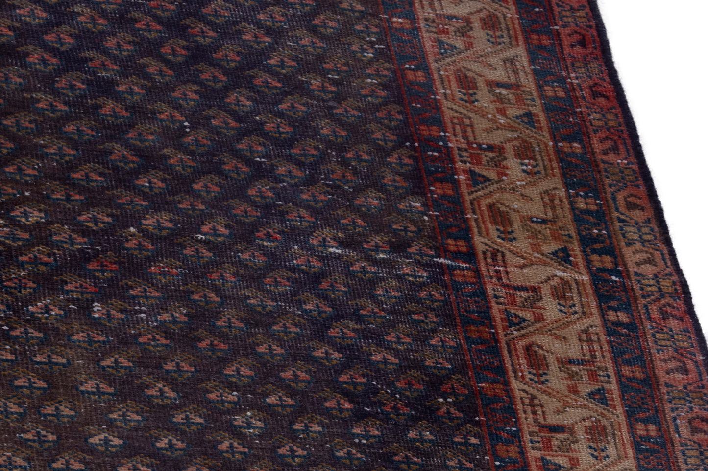 CAN_4040 - 3'3" x 10'
