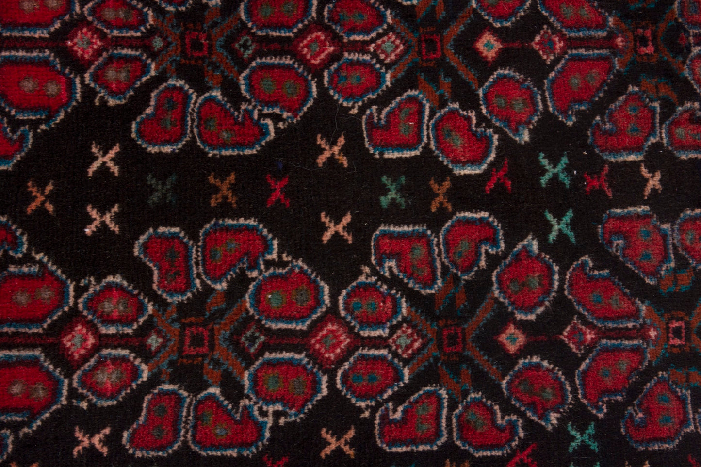CAN_4056 - 1'10" x 8'10"