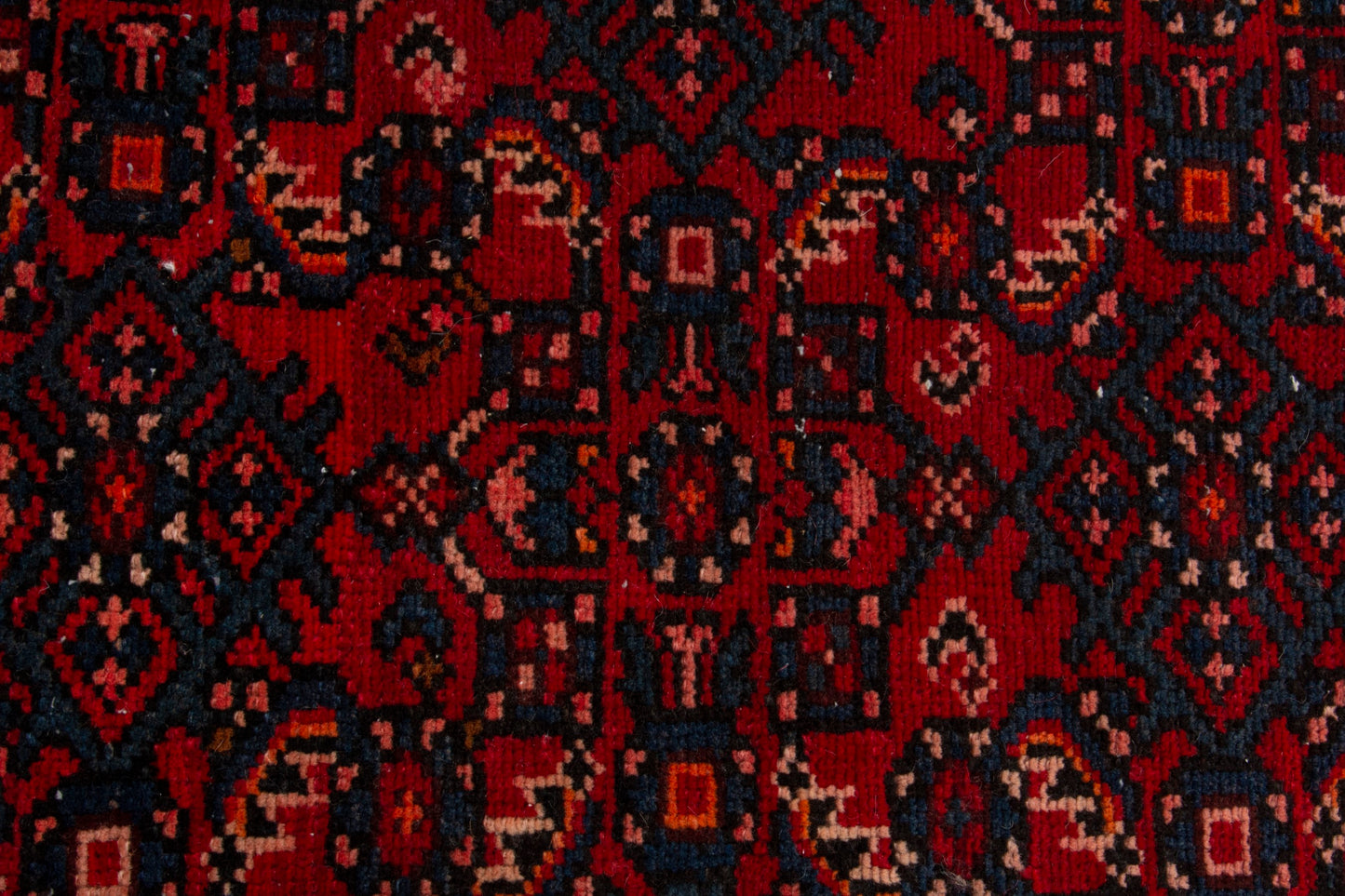 CAN_4066 - 4'1" x 13'