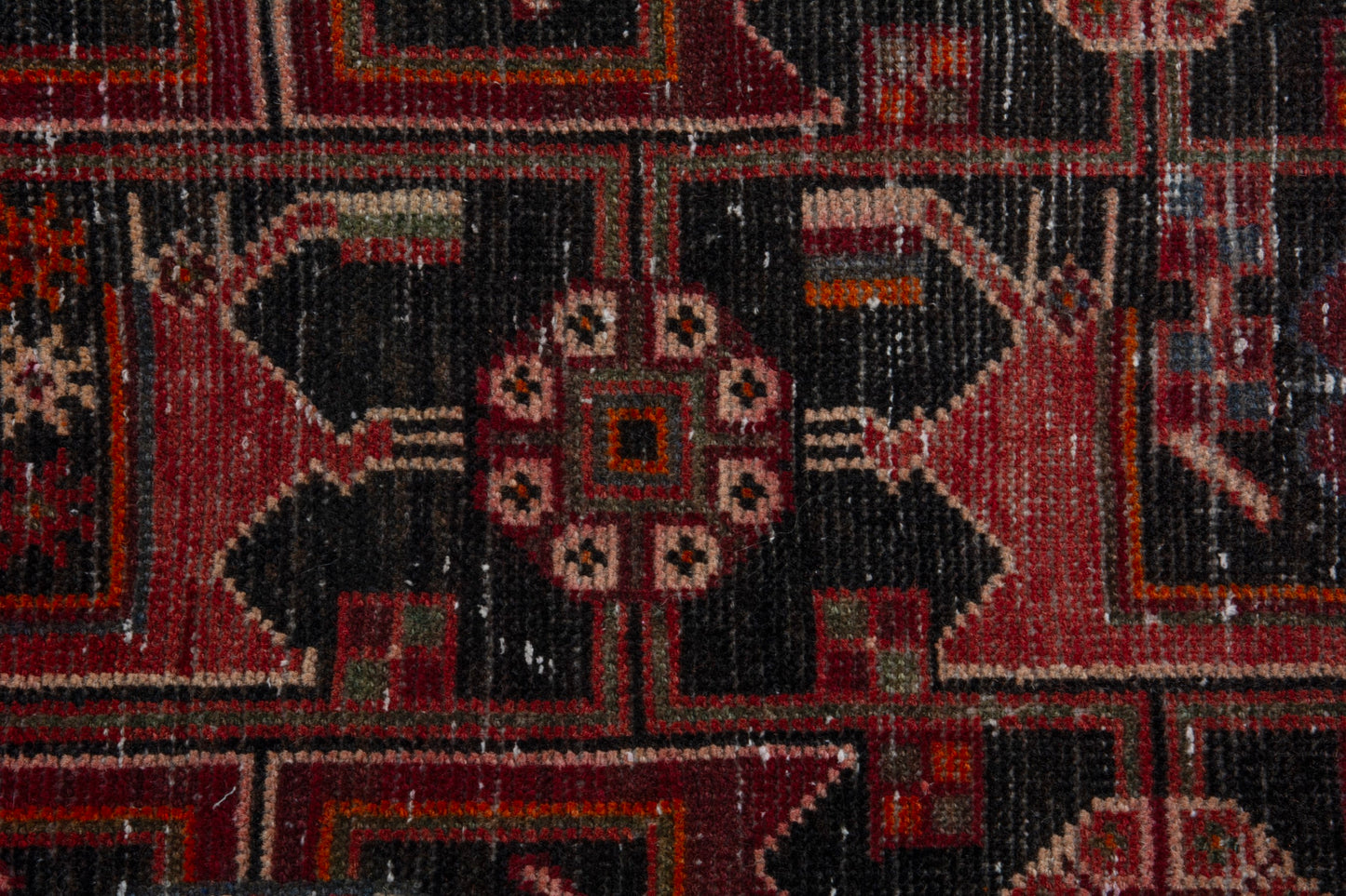 CAN_4074 - 3'3" x 8'2"