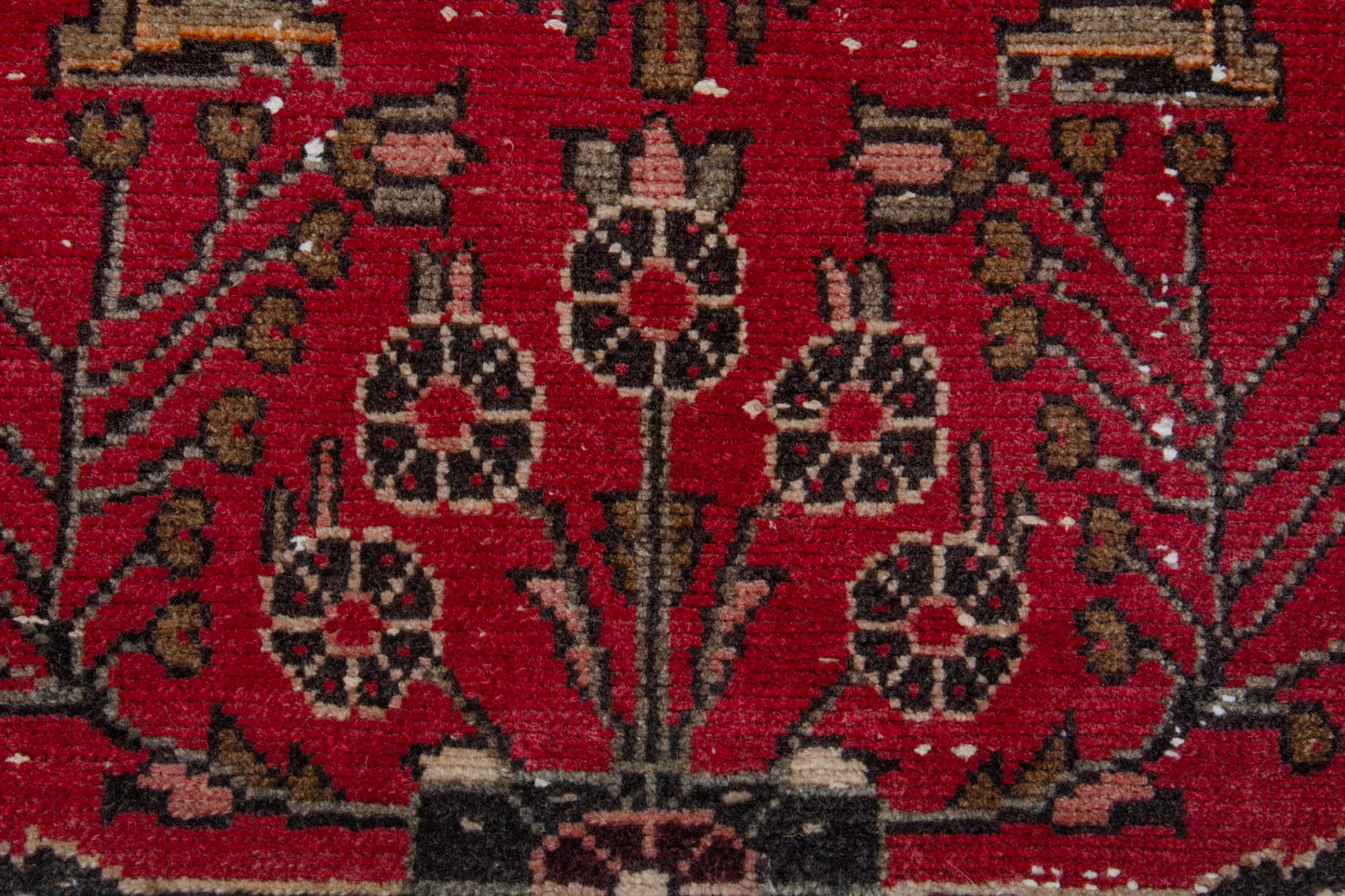 CAN_4078 - 2'2" x 8'9"