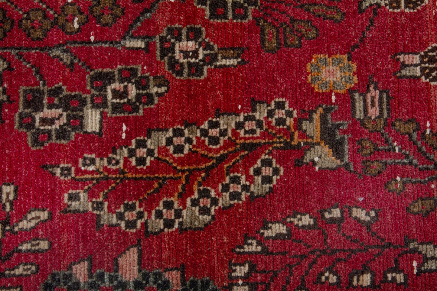CAN_4078 - 2'2" x 8'9"