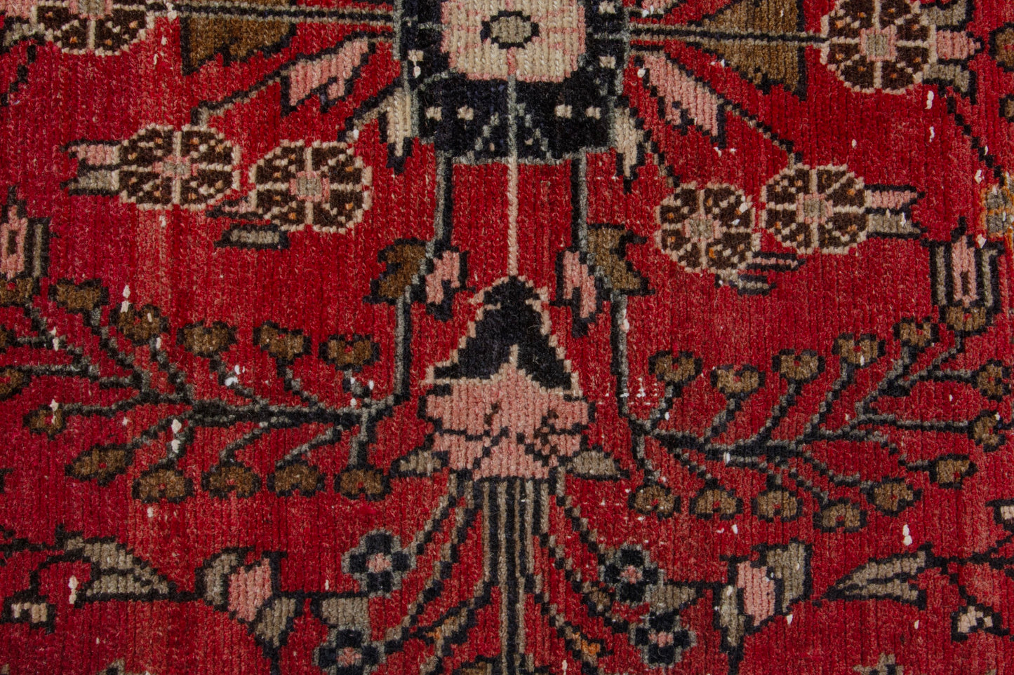CAN_4078 - 2'2" x 8'9"