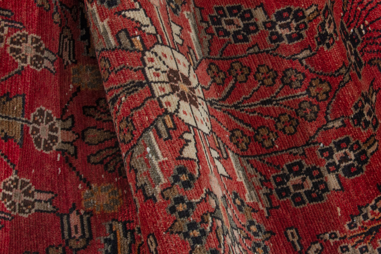 CAN_4078 - 2'2" x 8'9"