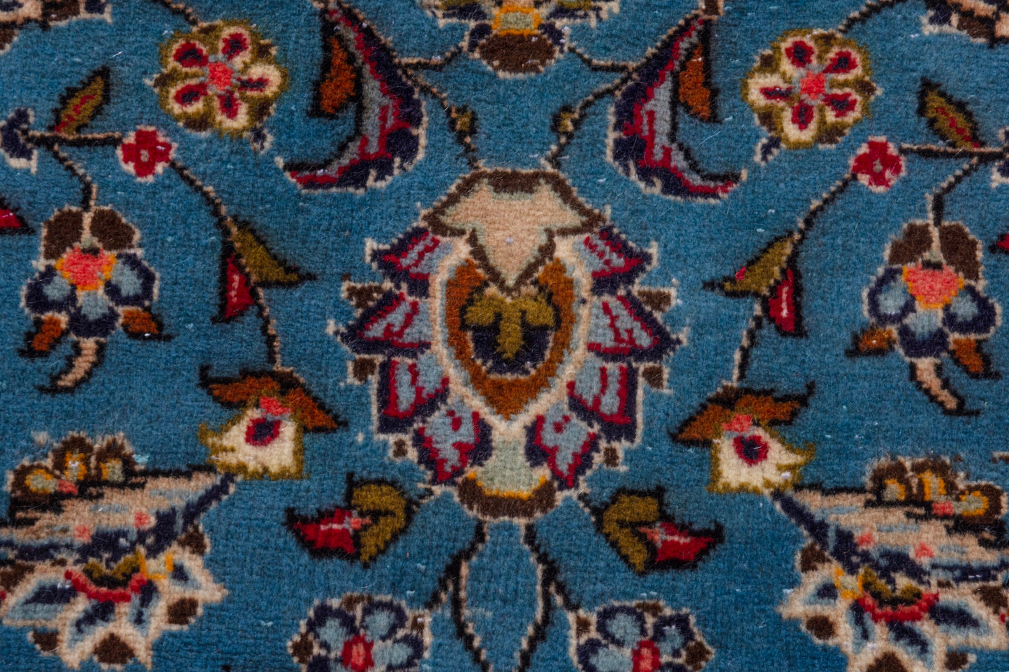 CAN_4095 - 8' x 11'8"