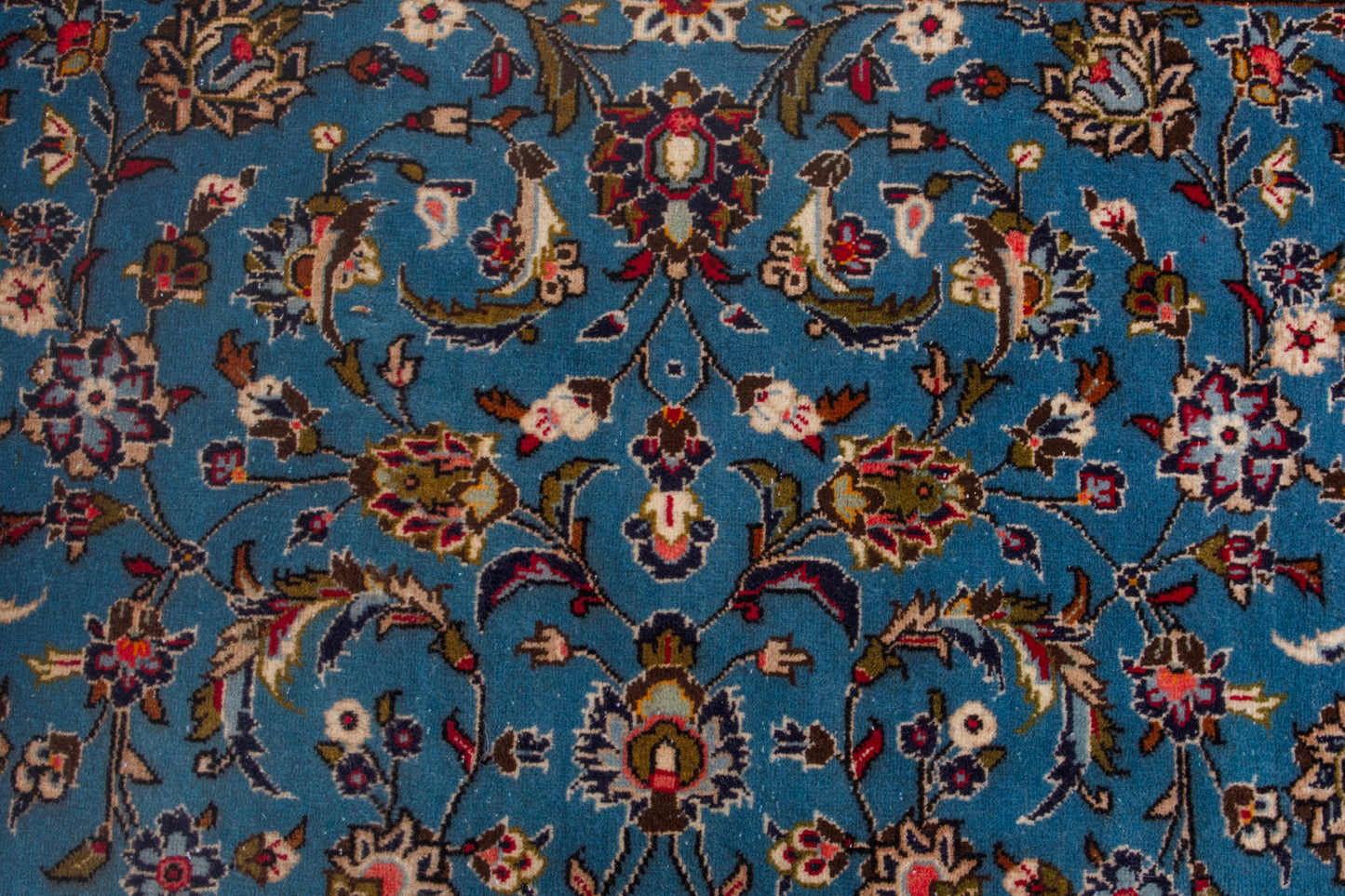 CAN_4095 - 8' x 11'8"