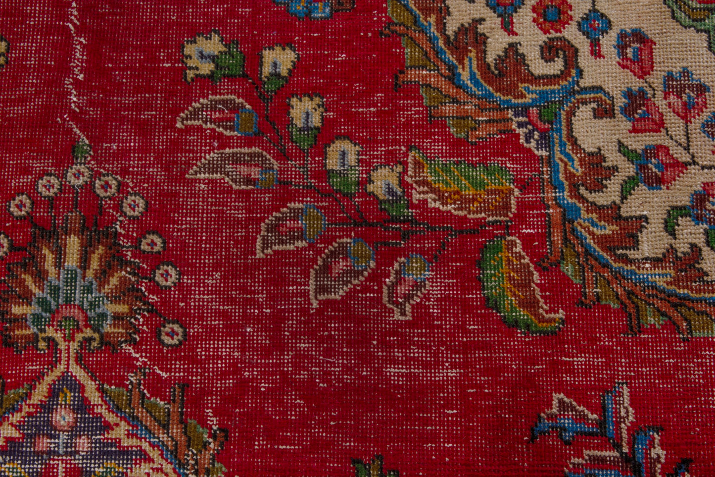 CAN_4156 - 8' x 11'6"