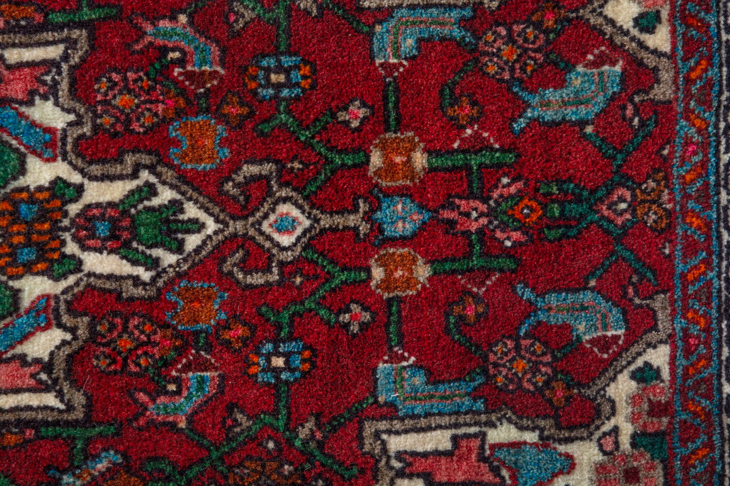 CAN_4161 - 1'10" x 3'3"