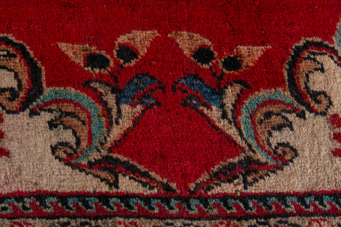 CAN_4202 - 2'2" x 3'11"