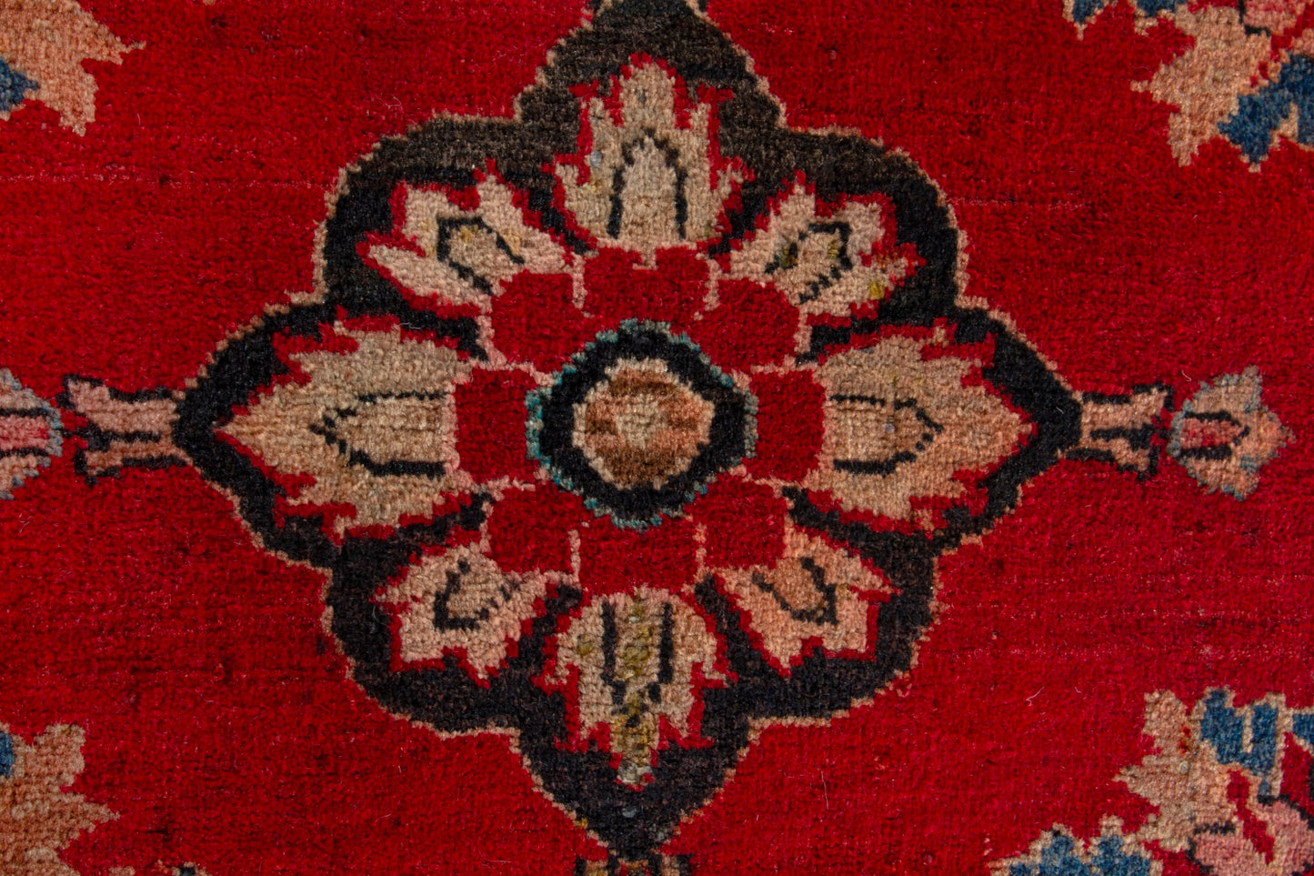 CAN_4202 - 2'2" x 3'11"