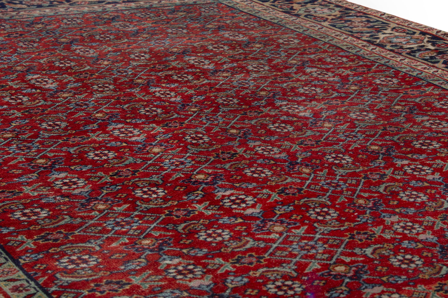 CAN_4222 - 4'11" x 8'4"