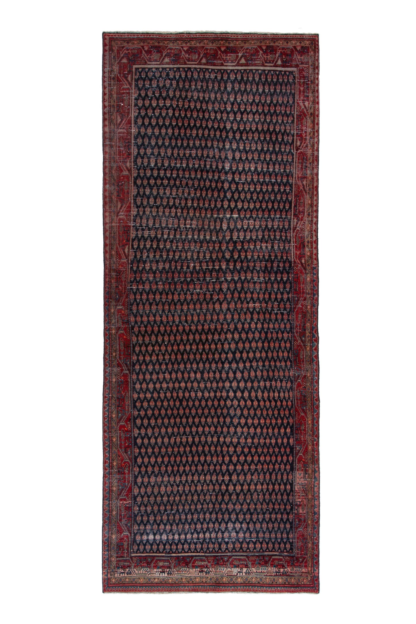 CAN_4235 - 4'2" x 12'2"