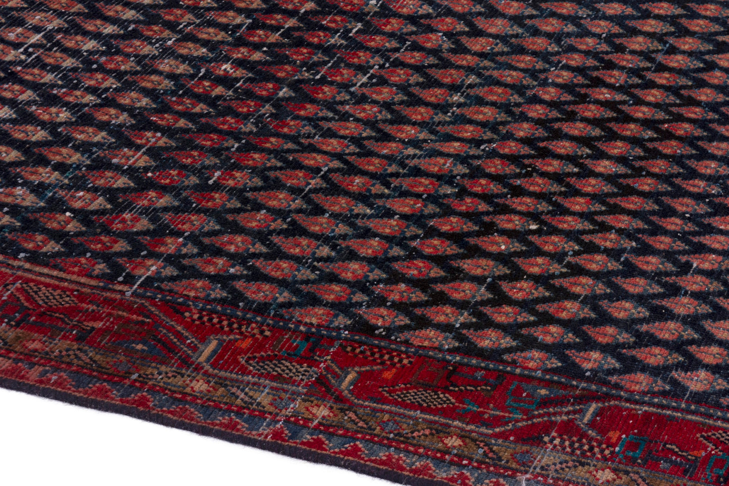 CAN_4235 - 4'2" x 12'2"