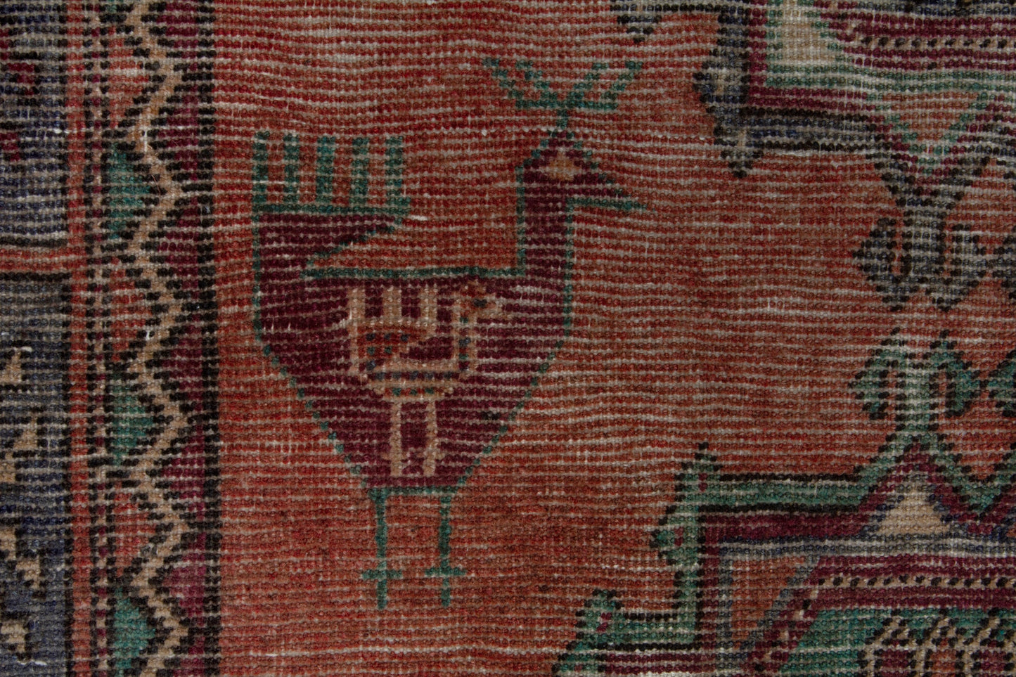 CAN_4272 - 5'11" x 10'11"