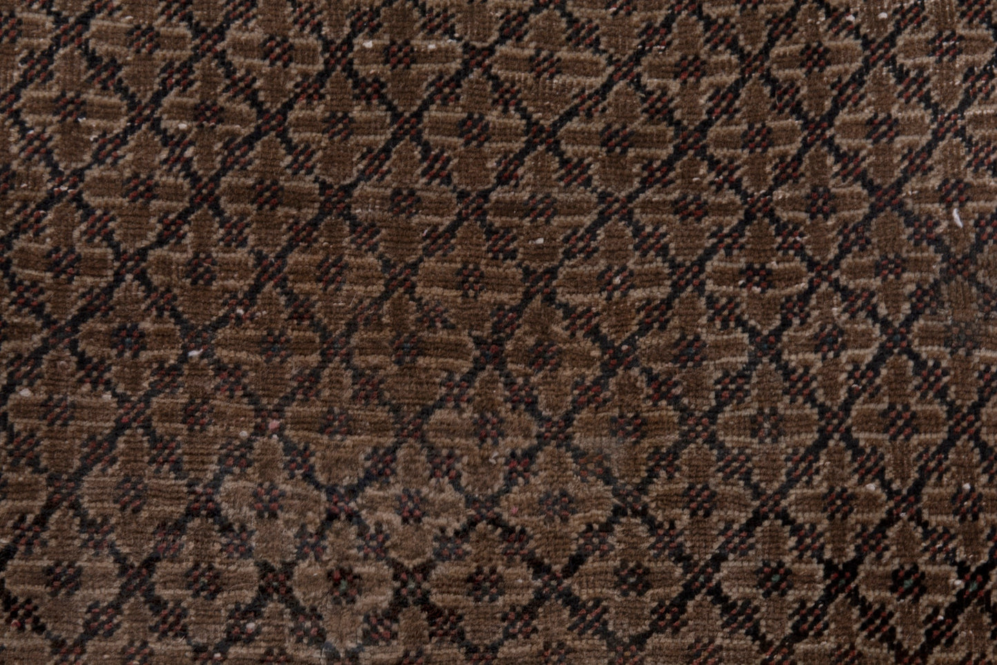 CAN_4283 - 4'8" x 8'8"