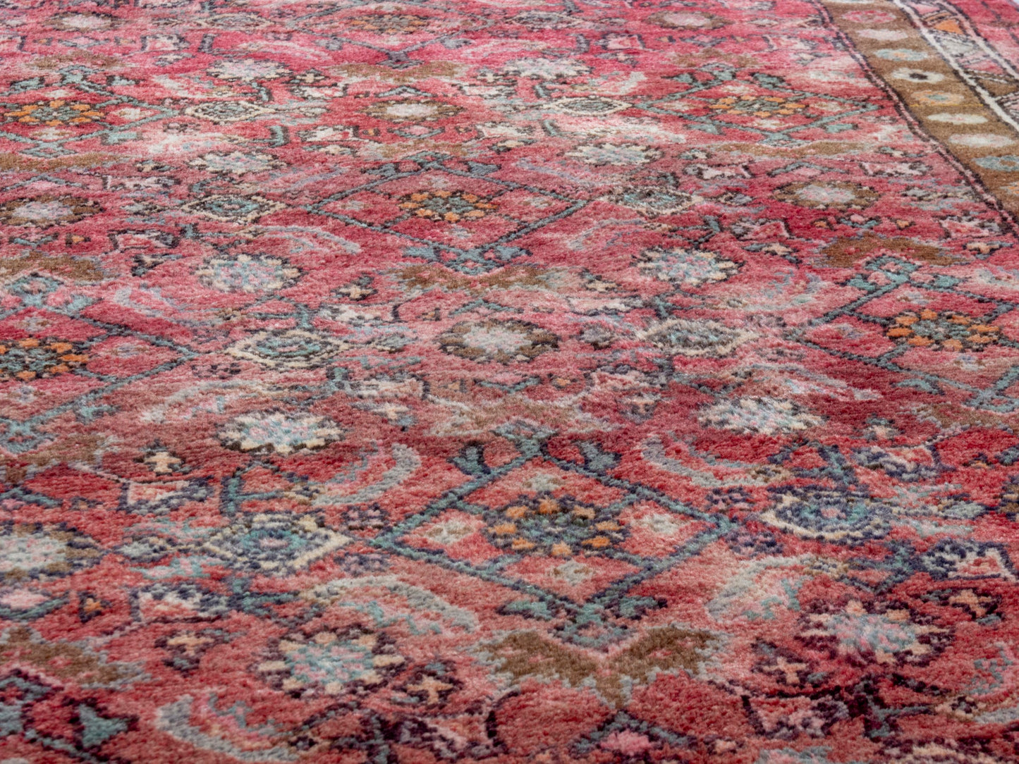 CAN_4338 - 3'10" x 12'