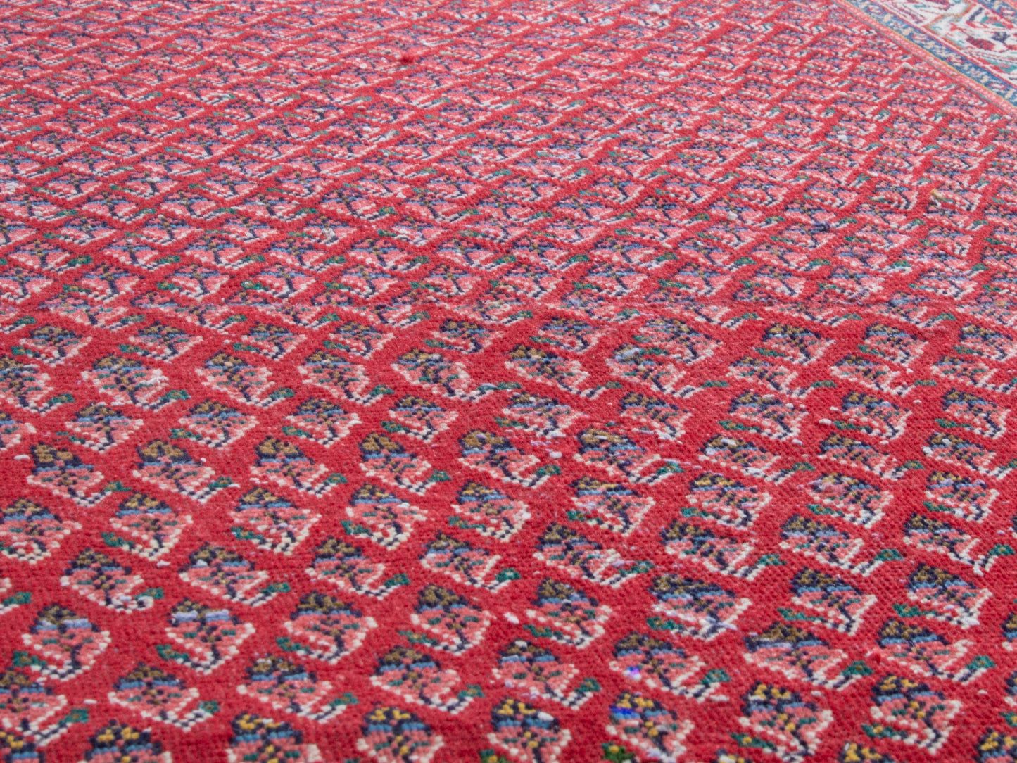 CAN_4348 - 3'11" x 8'6"