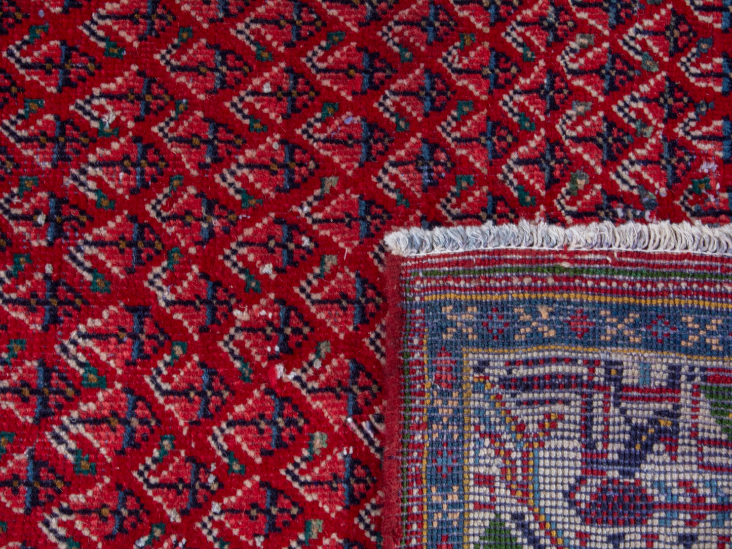 CAN_4348 - 3'11" x 8'6"