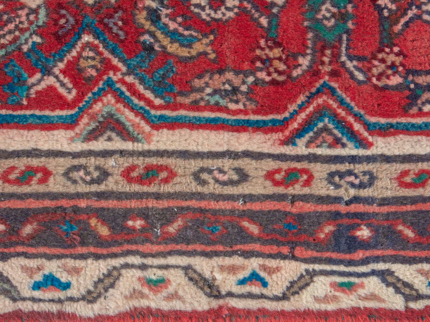 CAN_4360 - 3'3" x 9'10"