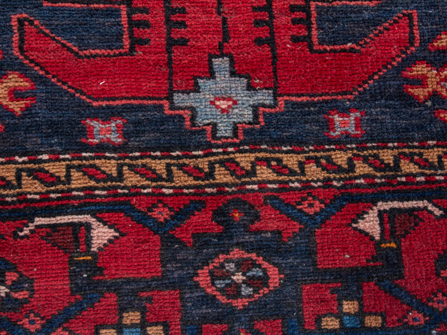 CAN_4361 - 3'1" x 11'2"