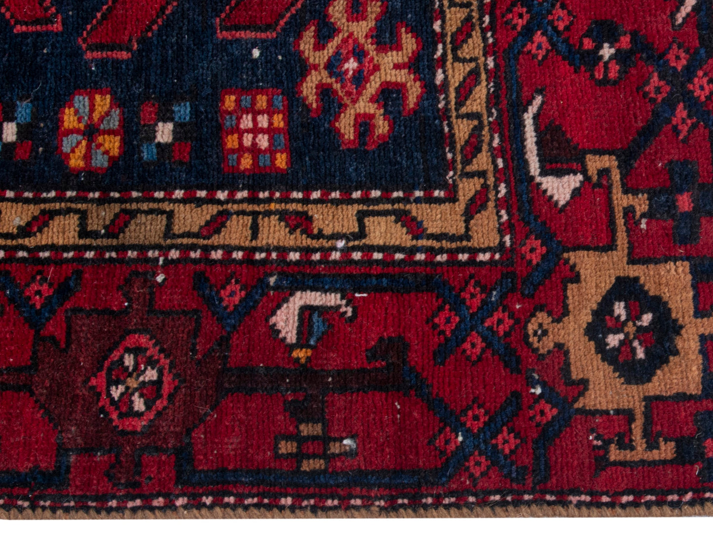 CAN_4361 - 3'1" x 11'2"