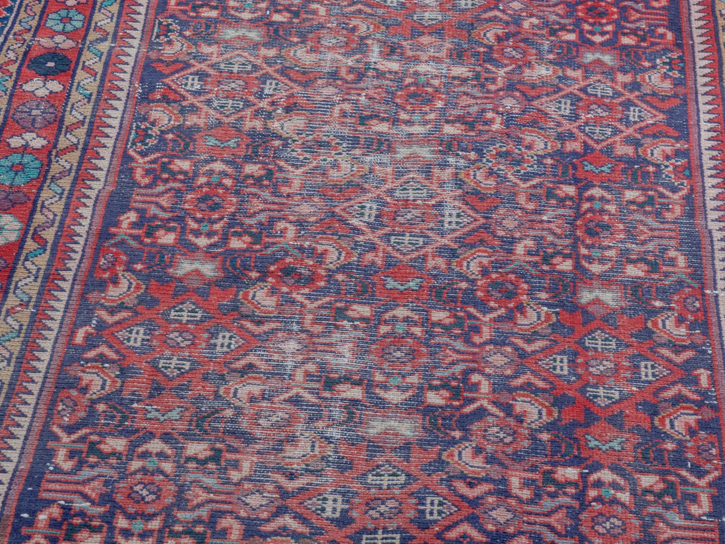 CAN_4366 - 3'3" x 9'11"