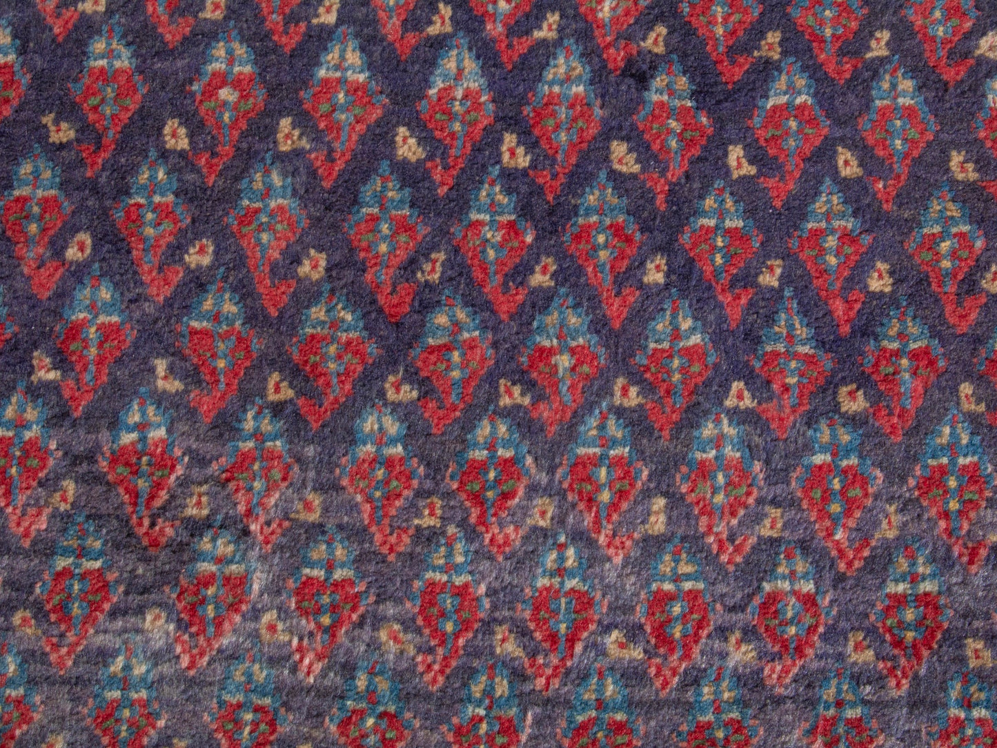 CAN_4369 - 3'7" x 11'2"