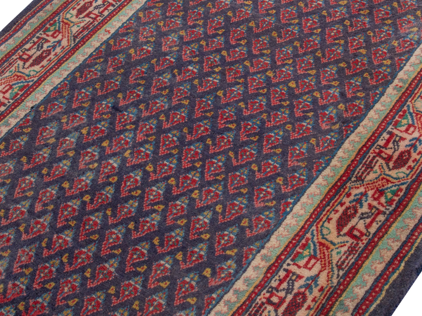 CAN_4369 - 3'7" x 11'2"
