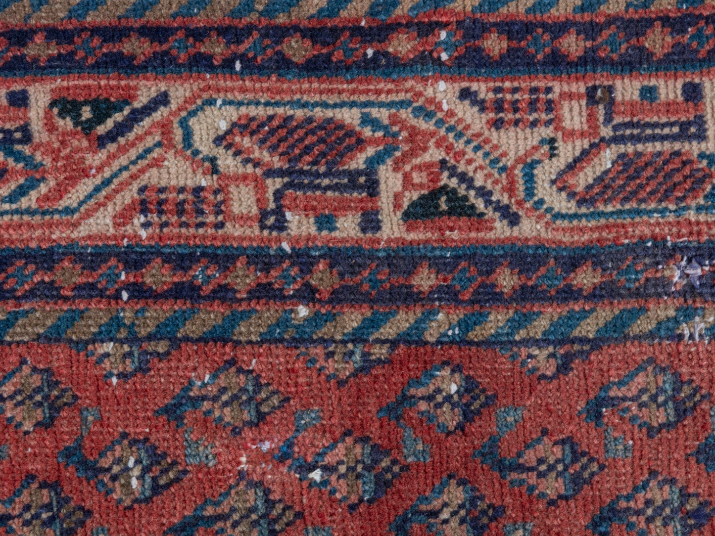 CAN_4373 - 3'7" x 10'