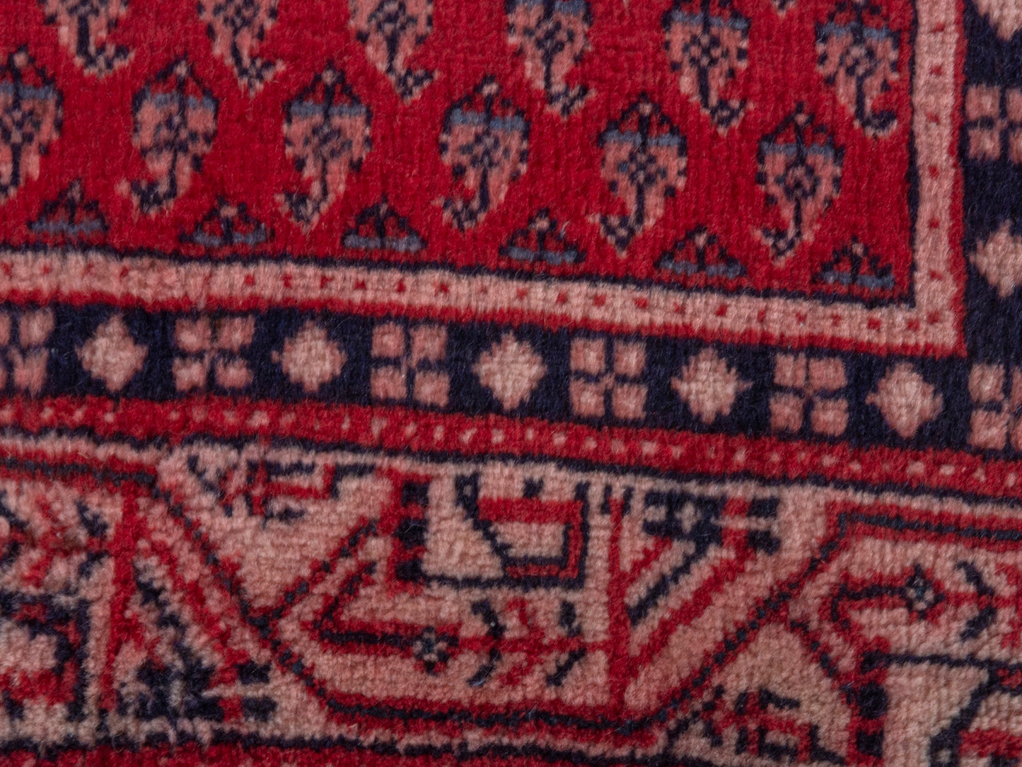 CAN_4377 - 2'11" x 9'10"