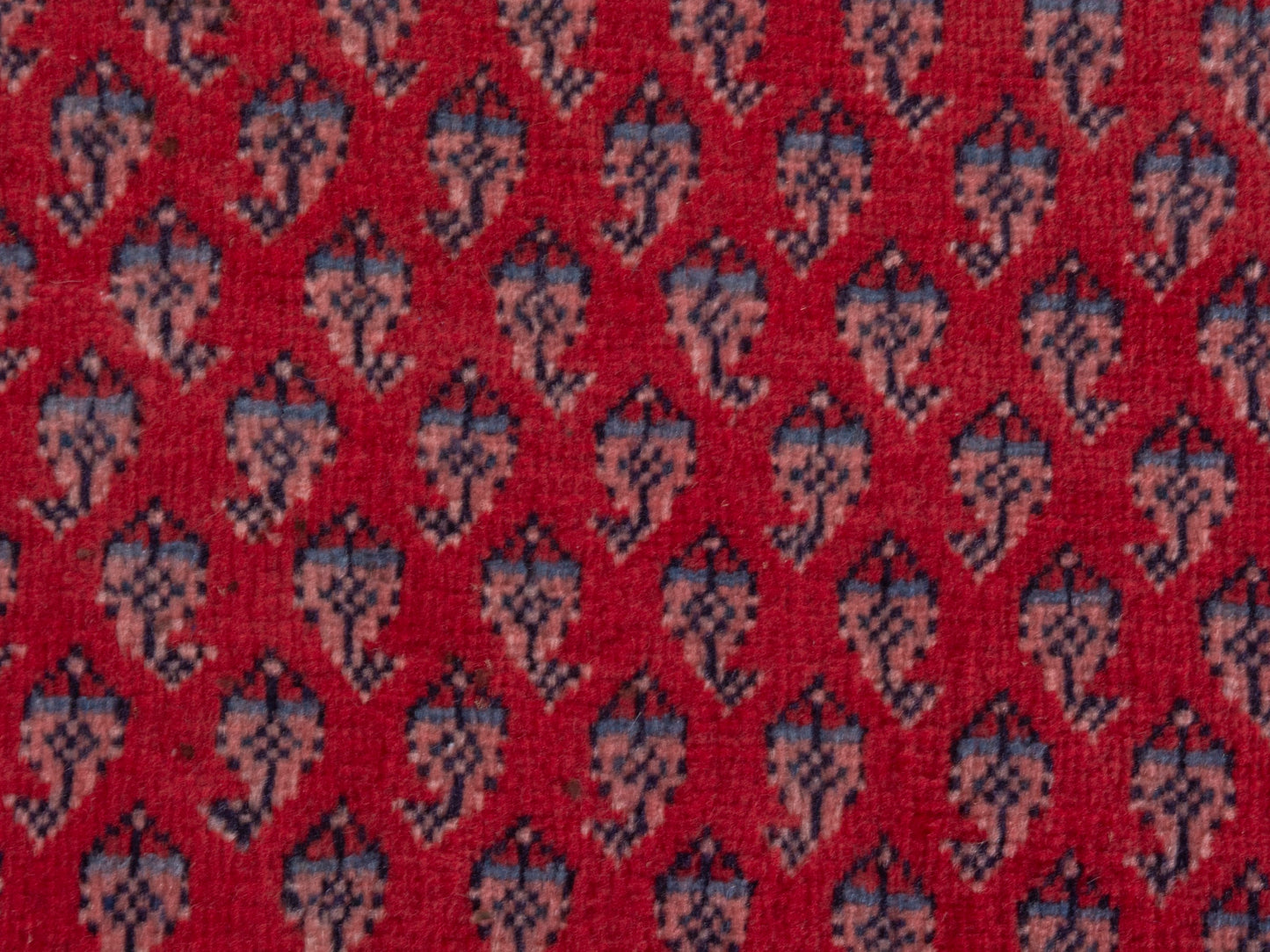 CAN_4377 - 2'11" x 9'10"